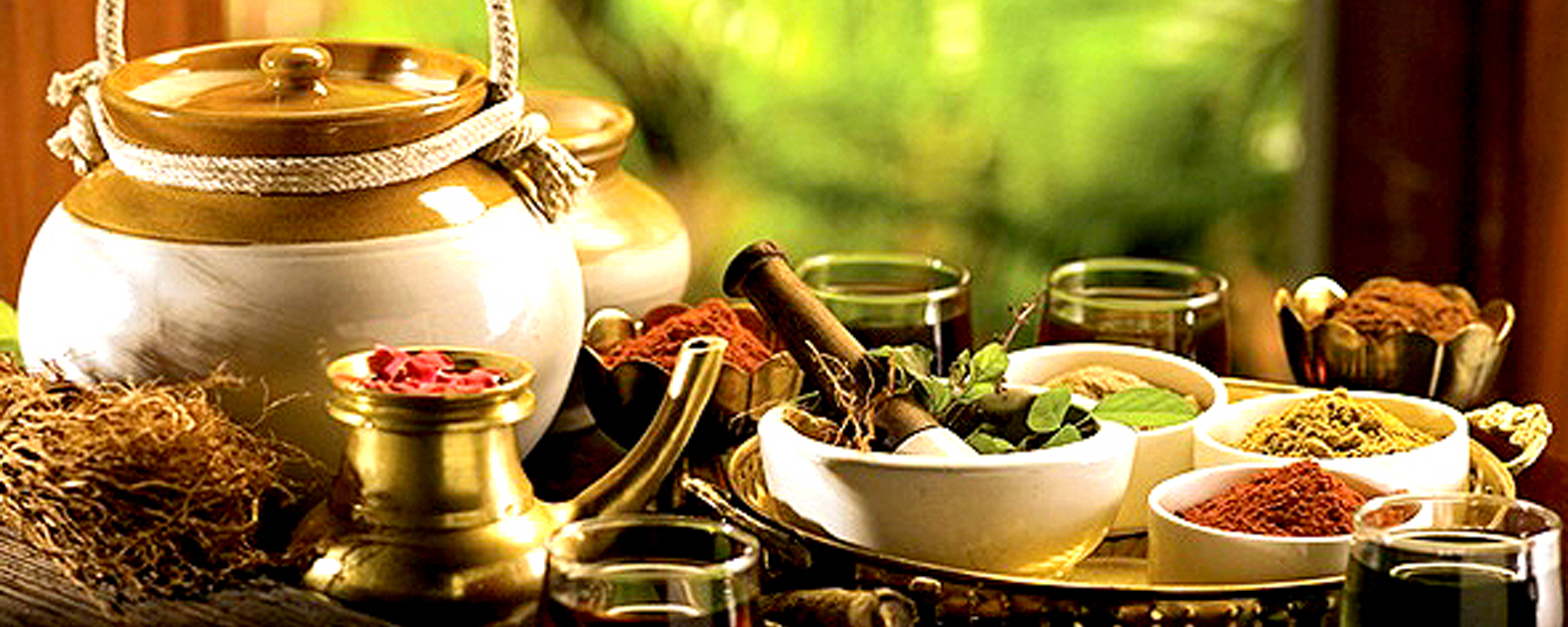 Ayurvedic Spa Tour